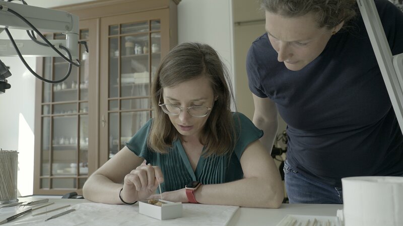 Das Motiv Sintflut taucht schon in den ältesten Überlieferungen auf. Die Wissenschaftlerinnen Juliane Eule (l.) und Fanet Göttlich untersuchen eine Keilschrifttafel. – Bild: ZDF und Jörg Rambaum./​Jörg Rambaum