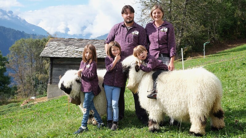 Familie Schnydrig aus dem Wallis mit ihren schönsten Schwarznasenschafen – Bild: SRF/​Christ Media
