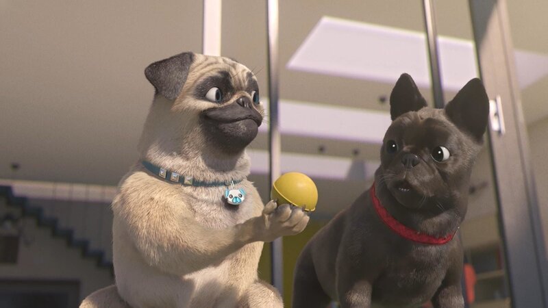 Bild: PLURIMEDIA (TeamTo)