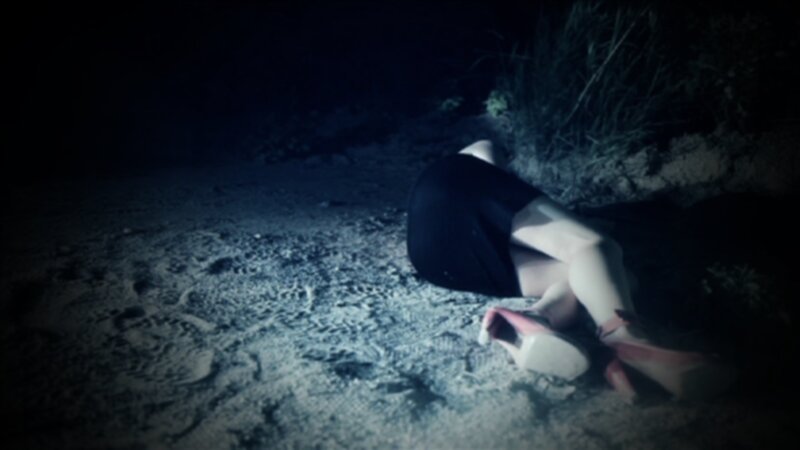 Zwischen 2005 und 2010 ermordete ein Serienkiller vier Frauen in Österreich, immer nach dem gleichen Muster. Bis heute fehlt von ihm jede Spur … – Bild: PULS 4