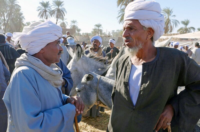 Der Kamelmarkt von Daraw erinnert an „1001 Nacht“ – Bild: phoenix/​ZDF/​Alexander Hein