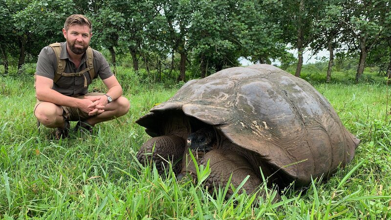 Forrest Galante With Galapagos Tortoise Kneeling Close Up. – Bild: Discovery Communications, LLC