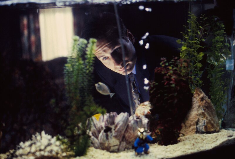 Fox Mulder (David Duchovny) – Bild: Twentieth Century Fox Film Corporation