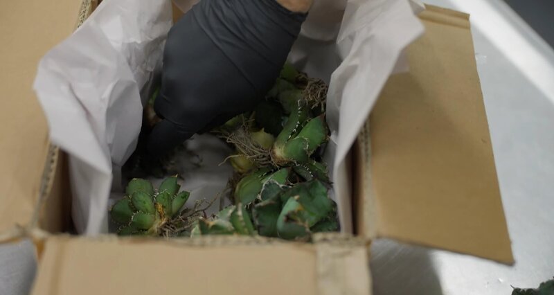 Bild: Seven Network (Operations) Limited