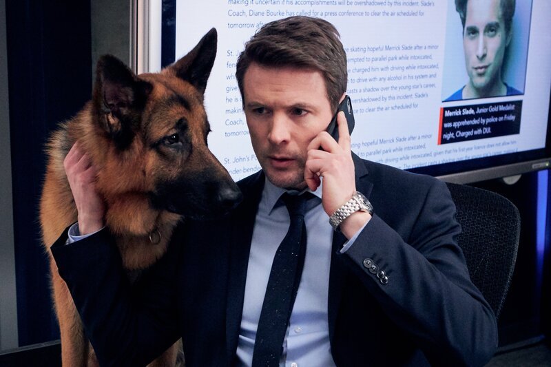 Rex (Diesel vom Burgimwal) und Detective Charlie Hudson (John Reardon) – Bild: Duncon de Young for Shaftesbury and Pope Productions