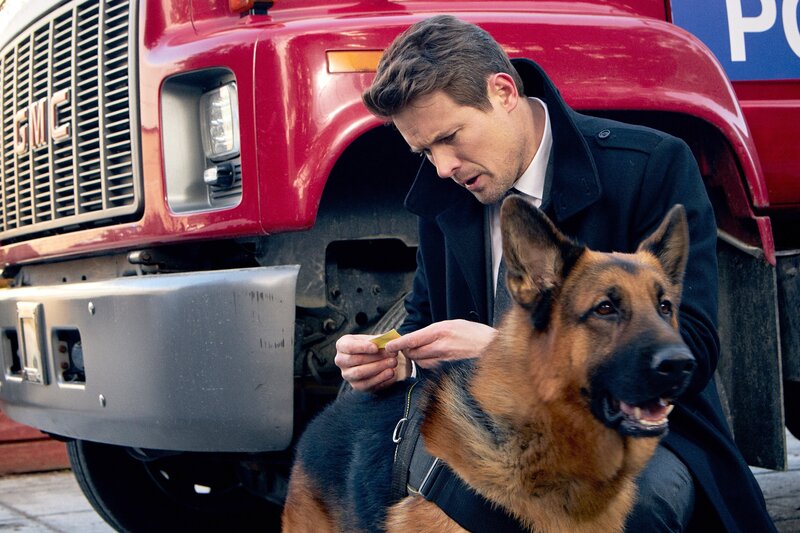 Bild: Shaftesbury /​ Pope /​ Duncan de Young