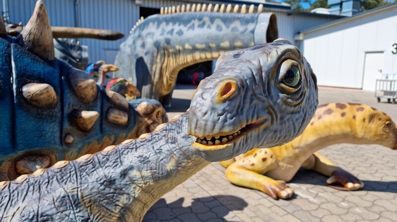 Dino nah - Dinosaurierpark Münchehagen – Bild: NDR/​Cineteam