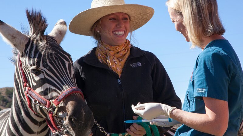 Dr Jeff and his team head out to the mountains to help people in a remote area with their pets. – Bild: Animal Planet /​ Discovery Communications