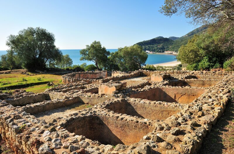 Bild: Shark Teeth Films