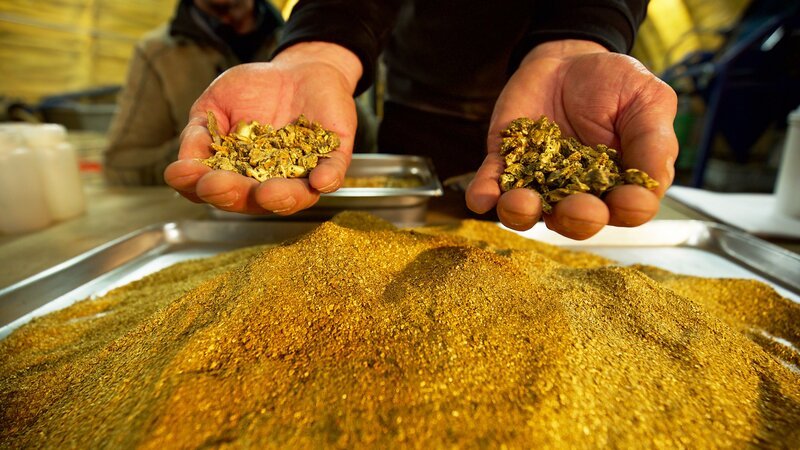 Two hands of gold. – Bild: Discovery Communications LLC