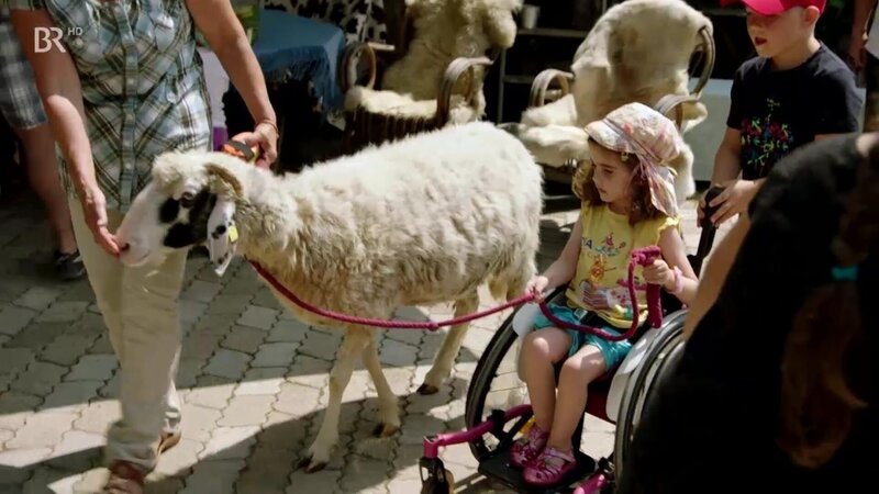 Ein Mädchen im Rollstuhl führt stolz ein (Therapie)schaf an der Leine. – Bild: ZDF und BR.