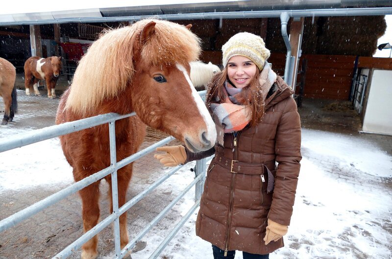 Minusgrade und Schneestürme machen Isländern dank ihres dichten Fells nichts aus. – Bild: BR/​TEXT + BILD Medienproduktion