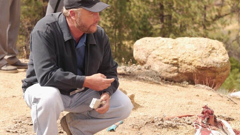 Auf seiner Suche nach den sterblichen Überresten eines Opfers wird Gil Grissom (William Petersen) schnell fündig: offenbar wurde das Opfer bei lebendigem Leib bis zu den Schultern eingegraben und wilde Tiere erledigten dann den Rest … – Bild: MG RTL D /​ CBS