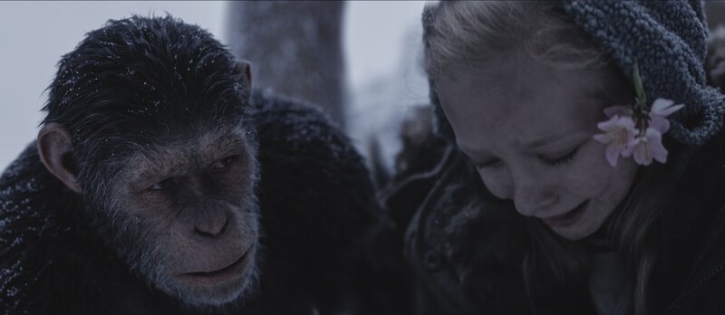 Bild: PLURIMEDIA (Twentieth Century Fox France /​ Chernin Entertainment)