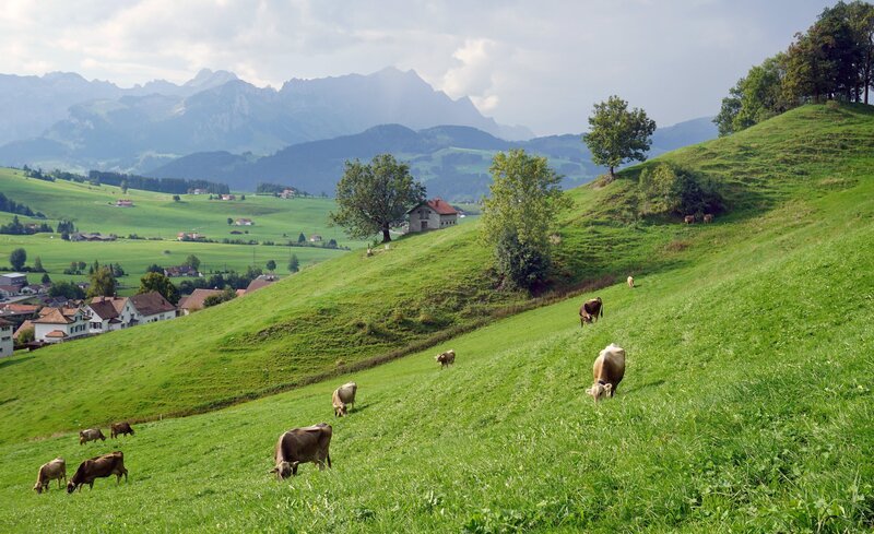 Appenzellerland mit Säntismassiv. – Bild: SWR/​Jochen Schmid