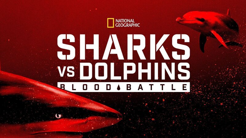  – Bild: NGC Network US, LLC.