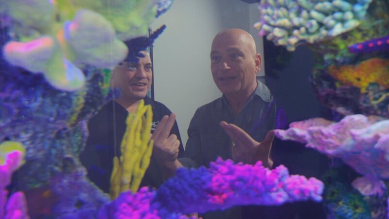 Howie Mandel – Bild: Discovery Channel