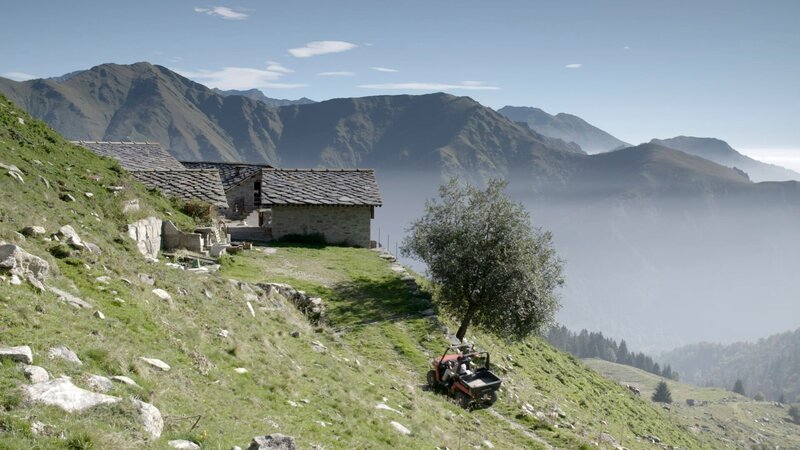 Aurelios Ankunft auf den Alm – Bild: FLORIANFILM