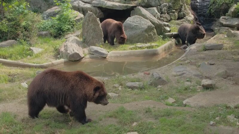 . – Bild: Warner Bros. Discovery