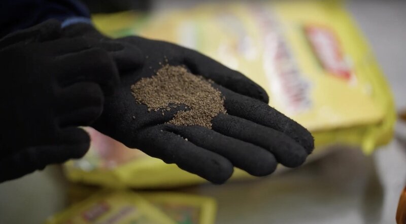 Bild: Seven Network (Operations) Limited