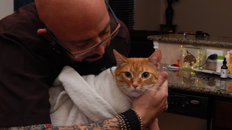 Jackon Galaxy holding Whiskey the cat. – Bild: Discovery Communications