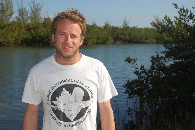 Tristan Guttridge PhD, Direktor Bimini Biological Field Station Foundation – Bild: RTLNITRO