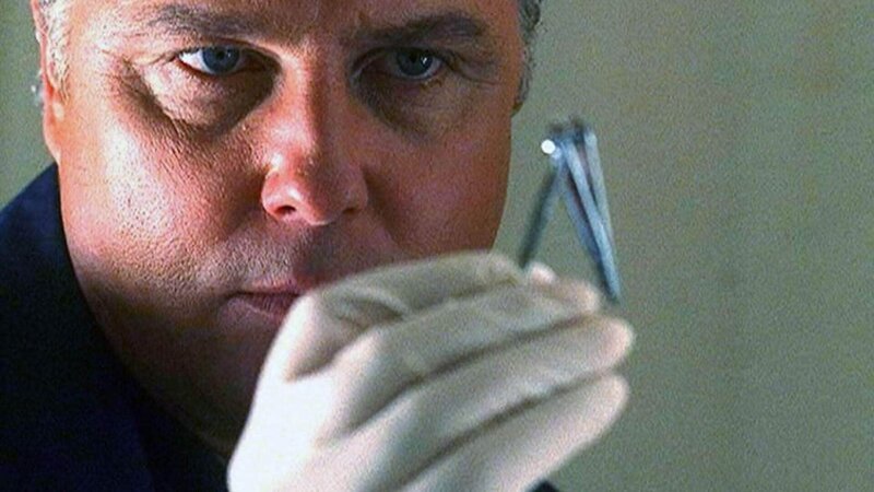In der Nähe der Leiche findet Gil Grissom (William Petersen) ein Keramikstück. Ein Hinweis auf den Täter? – Bild: TVNOW /​ CBS