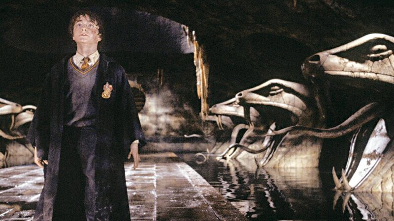 Harry Potter und die Kammer des Schreckens In der Kammer des Schreckens: Daniel Radcliffe als Harry Potter – Bild: SRF/​Warner Bros. International Television Distribution