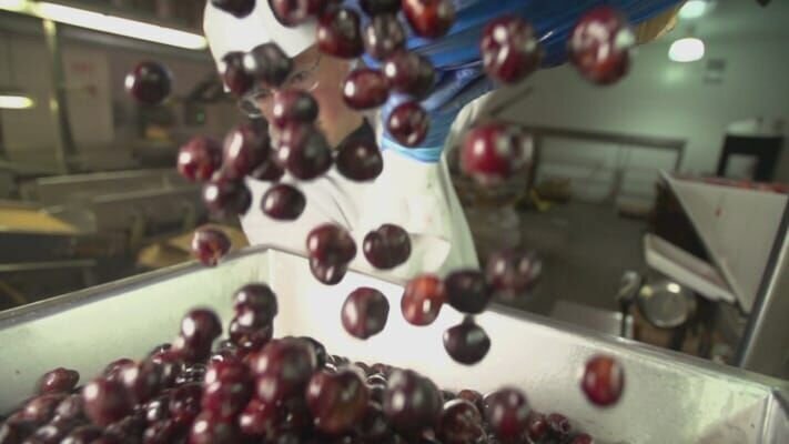 Bild: Telefónica de España/​National Geographic