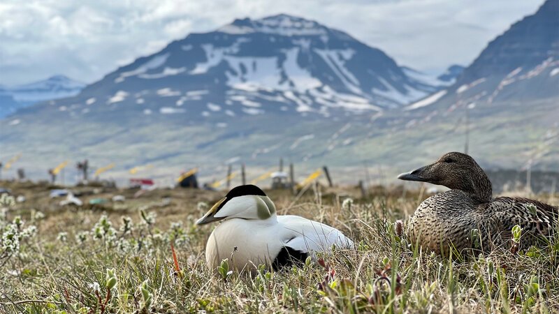 . – Bild: Bergblick