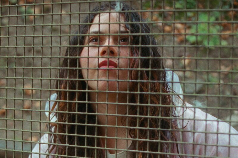 Wildblume
Narges Chebbi als Artemisia
SRF/​Amka Films Productions/​RSI – Bild: SRF/​Amka Films Productions/​RSI