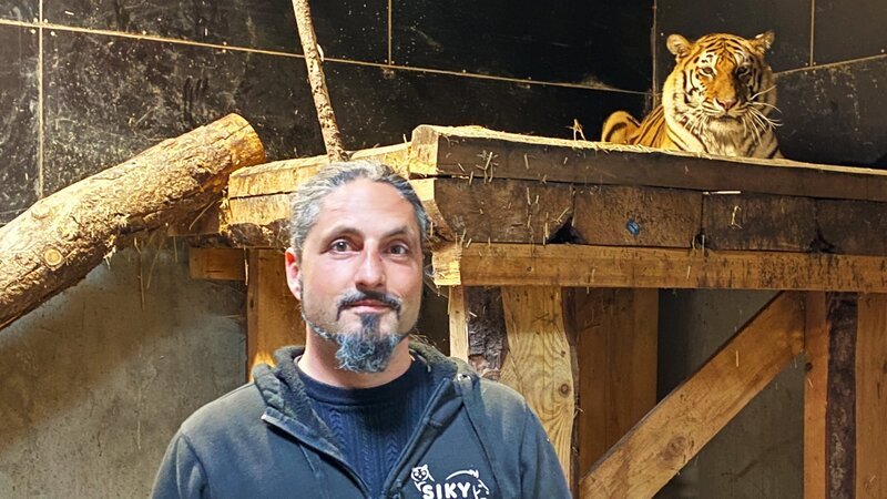 SRF bi de Lüt – Echte Tierhelden Marc Zihlmann mit Tigerin Shiva 2021 – Bild: SRF