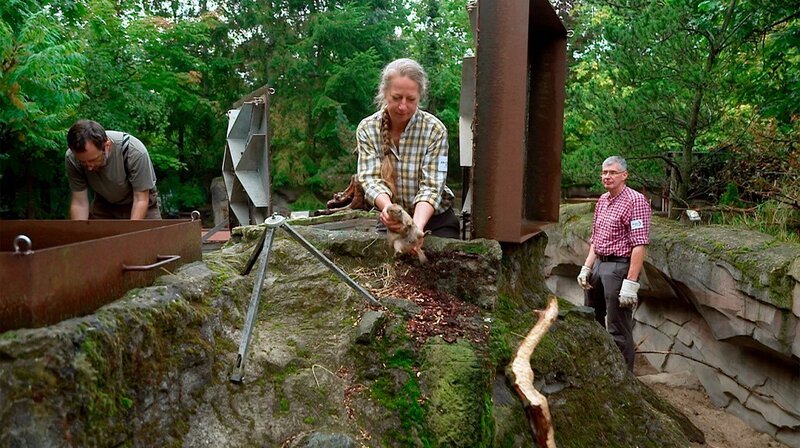 Tierpflegerin Stefanie Leitner und ihr Kollege Thomas Pfaff haben sich mit Zoo-Tierarzt Dr. Viktor Molnár ein sportliches Ziel gesetzt. Der alljährliche Gesundheits-Check bei den Präriehunden steht an. – Bild: NDR/​Doclights 2021