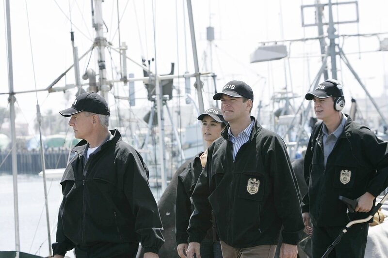 Mark Harmon, Cote de Pablo, Michael Weatherly, Sean Murray – Bild: PLURIMEDIA (CBS /​ Cliff Lipson)