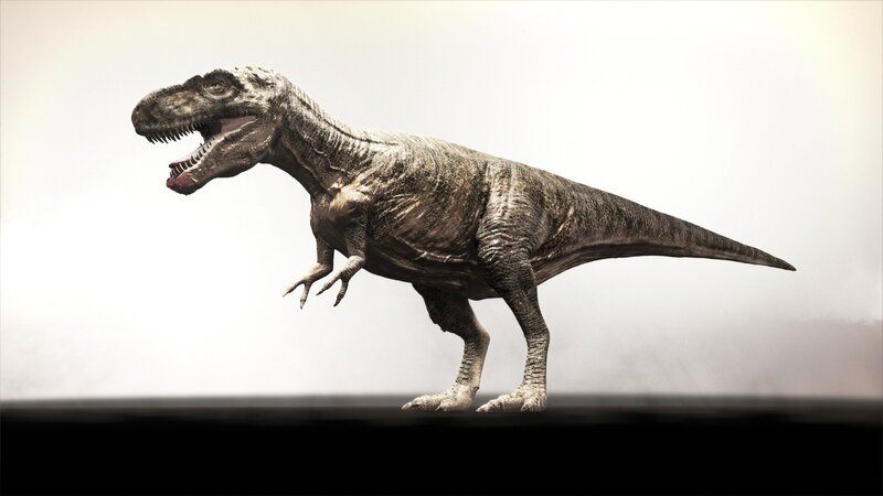 CGI: A Gorgosaur (a kind of Tyrannosaur) on smokey background. – Bild: The National Geographic Channel