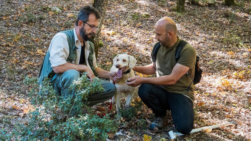 Zu Tisch Meteora – Griechenland Nikos und sein Cousin loben den erfolgreichen Trüffelhund Hermes – Bild: SRF/​Marina Funck