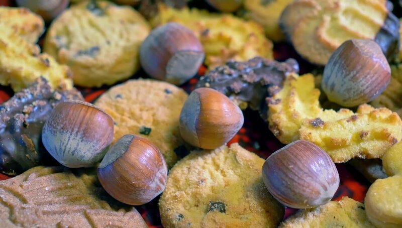 In einer Dokumentation wird gezeigt, wie die Haselnuss übers ganze Jahr hinweg wächst – im Zeitraffer sieht das ganz schön beeindruckend aus! – Bild: WDR/​Die Sendung mit dem Elefanten