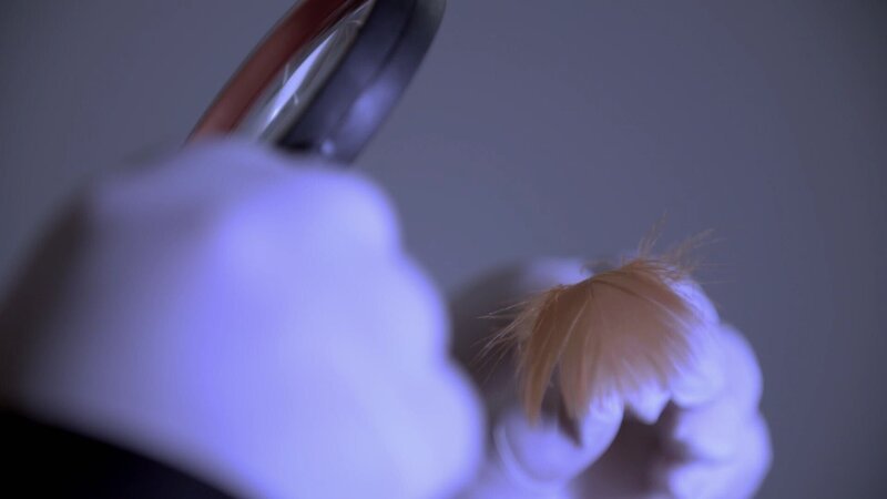 +++ – Bild: RTL Crime