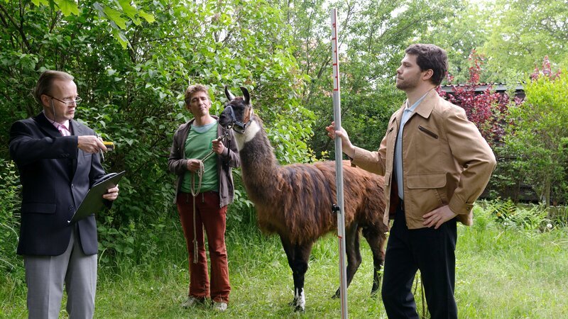 Typisch Amtmann Kluthe (Holger Handtke, l.): Er will Fritz Fuchs (Guido Hammesfahr, M.) das Lama wegnehmen – das Tier ist ihm zu „unordentlich“. Sein Assistent (Martin Baden, r.) soll ihm dabei helfen. – Bild: ZDF und Antje Dittmann