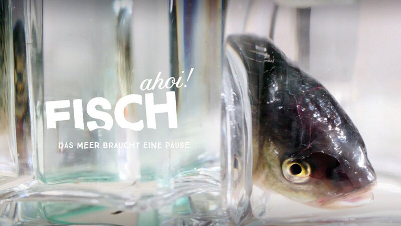 Signation, Logo. – Bild: ZDF und ORF