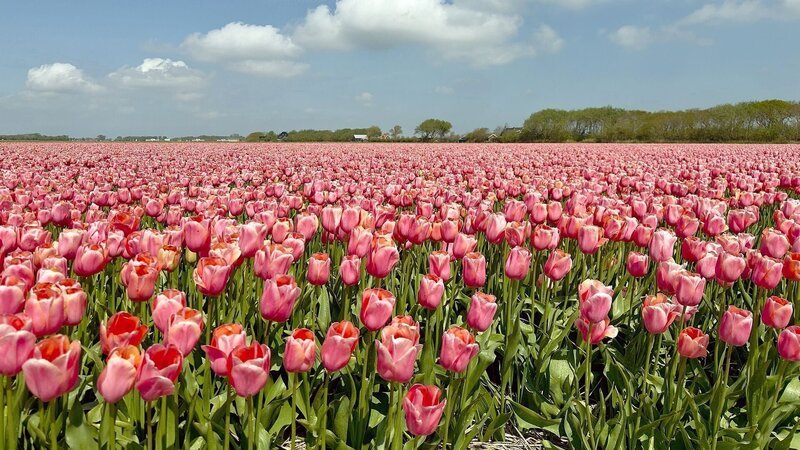  – Bild: Till Lehmann