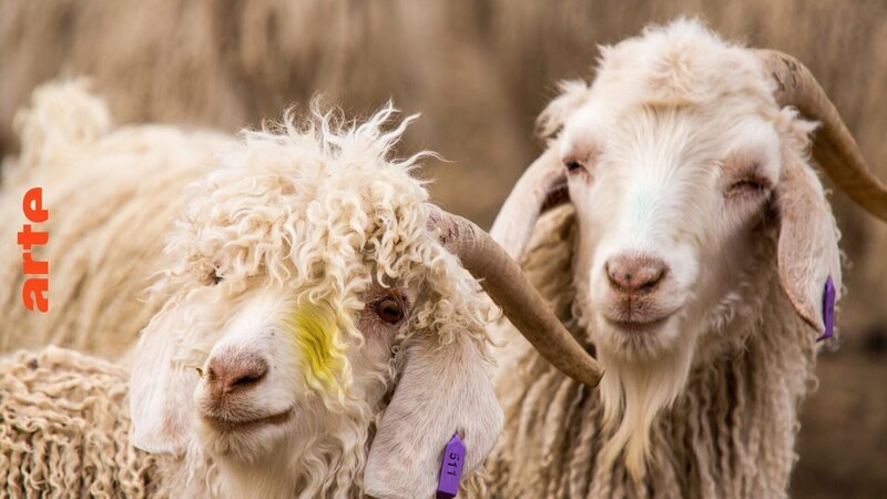  – Bild: MedienKontor/​Mike Dielhenn