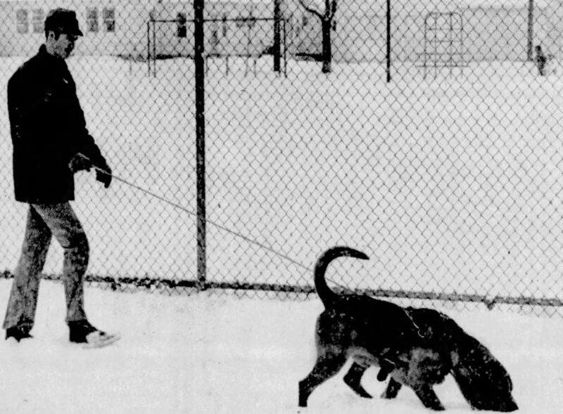 Bild: abacus /​ © Peninsula Television 2021 /​ © Crime + Investigation