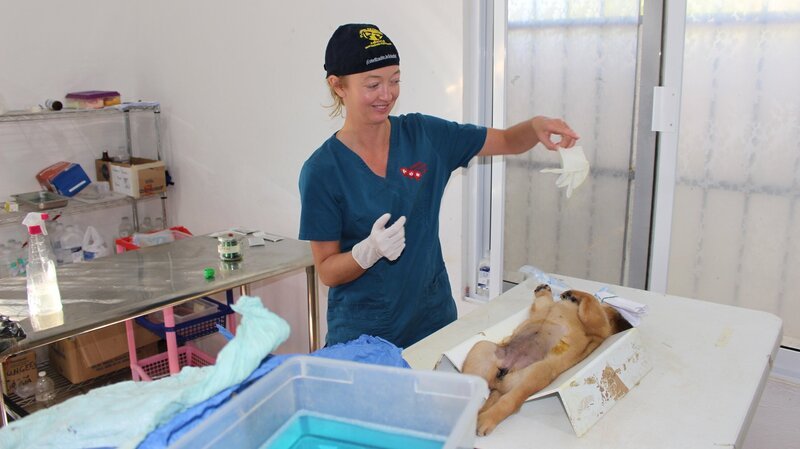 Dr Jeff Rockey Mountain Vet – Bild: Animal Planet /​ Discovery Communications