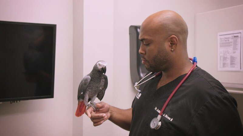 . – Bild: Warner Bros. Discovery