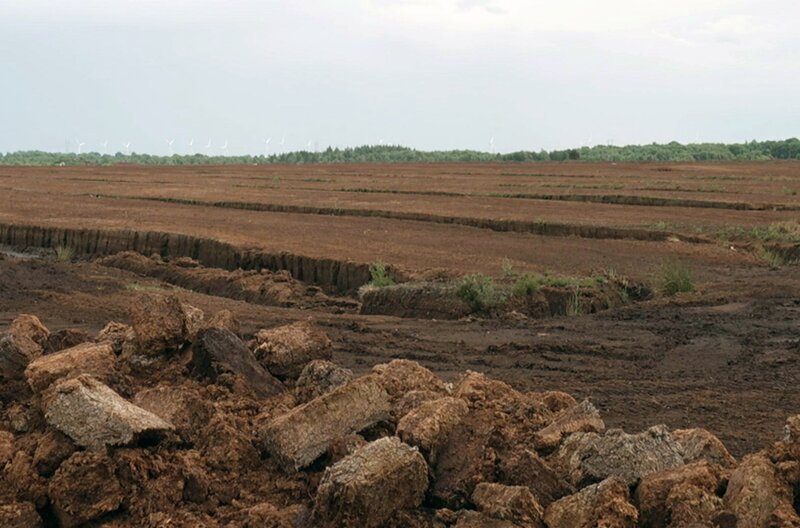 Im Herzen Irlands: Der Torf der Moore wurde lange zum Heizen verwendet. Die Moorlandschaften aus zersetztem Pflanzenmaterial bedecken 17 Prozent der Insel. – Bild: Elephant Doc