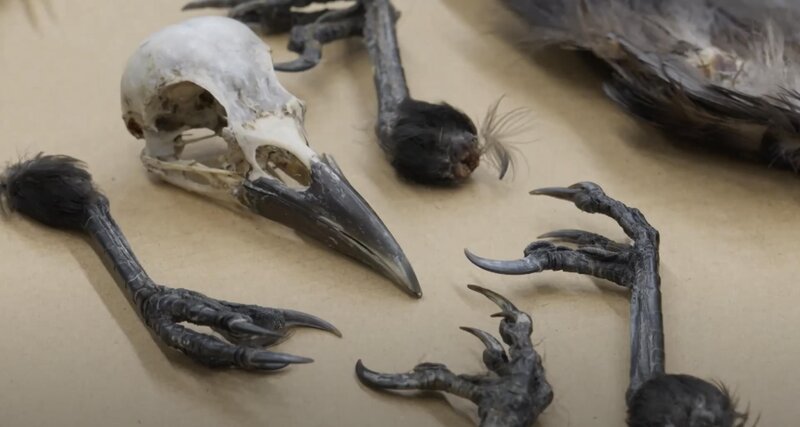 Bild: Seven Network (Operations) Limited