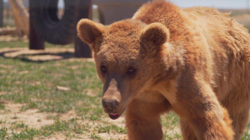 . – Bild: Warner Bros. Discovery