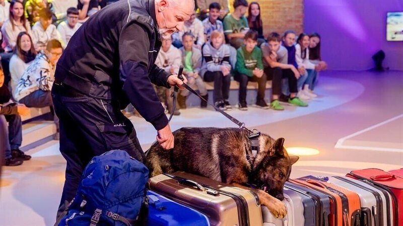 Faszination Flughafen 2 – Bild: ZDF/​Nadine Rupp