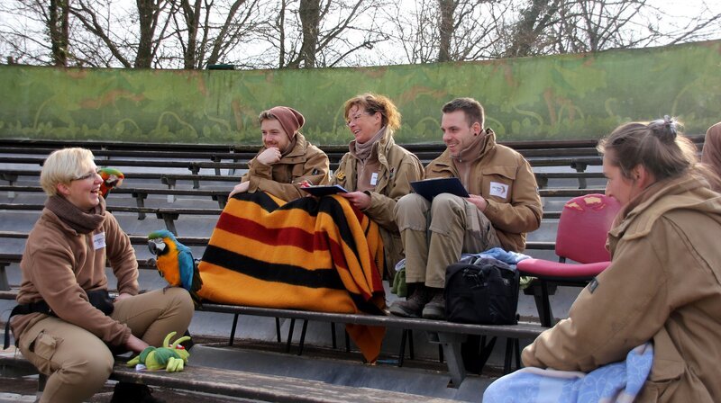 Abschied und Neuanfang: Das Team aus dem Revier „Showarena“ ist heute ganz besonders aufgeregt. Die beliebten Tierpräsentationen, die die Tierpfleger*innen in der Arena machen, finden zum letzten Mal an diesem Ort statt. Angela, Henrik, Ilona und Alex blicken sehr wehmütig auf die schöne Zeit zurück. Aber: Das Zoologicum ist fast fertig! Bald kann das Team mit seinen tierischen Schützlingen in das nagelneue Revier umziehen! – Bild: NDR/​Doclights/​Jeannine Apsel